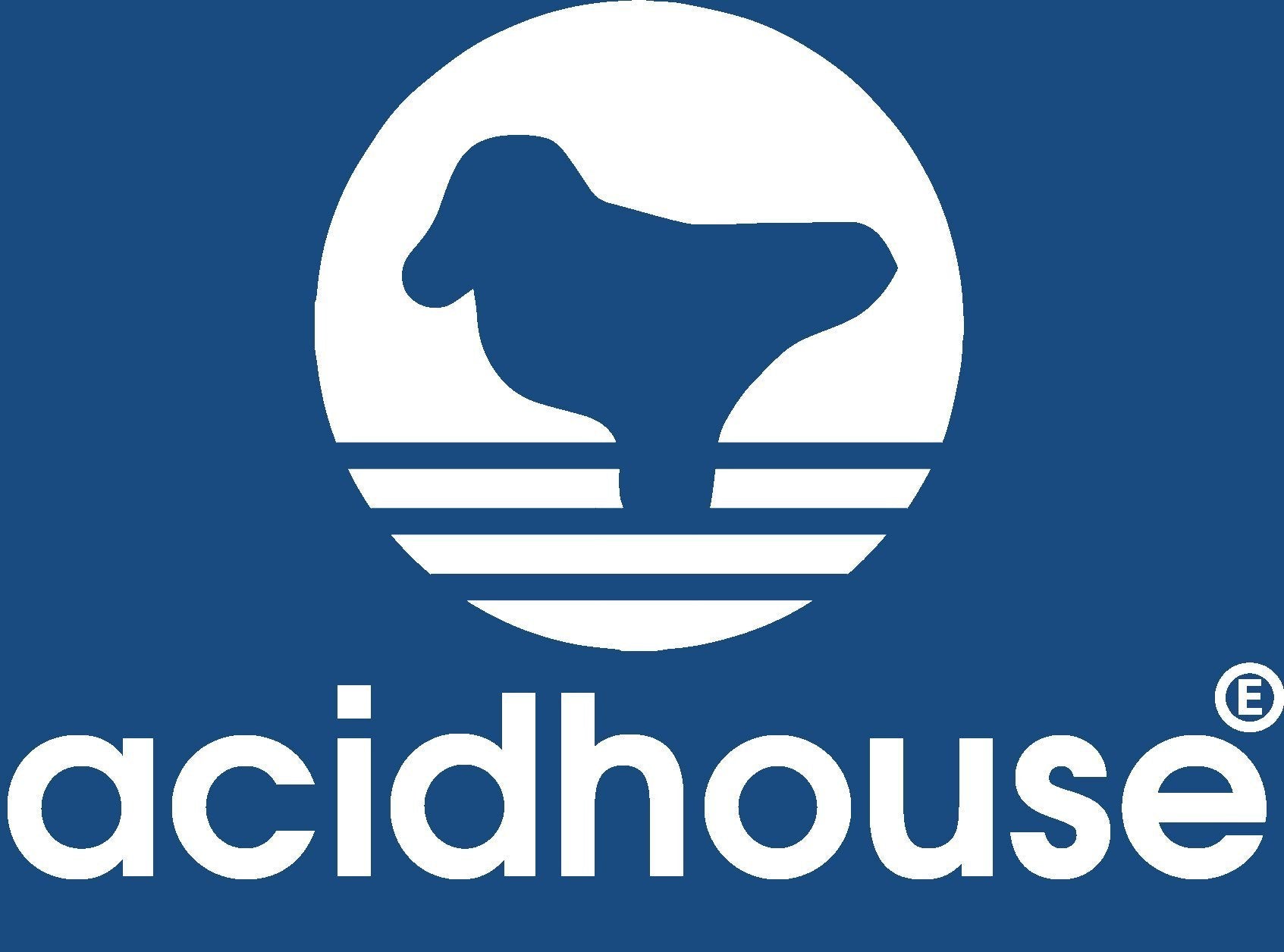 Acid House Sportswear T-Shirt / Royal-Future Past-Essential Republik