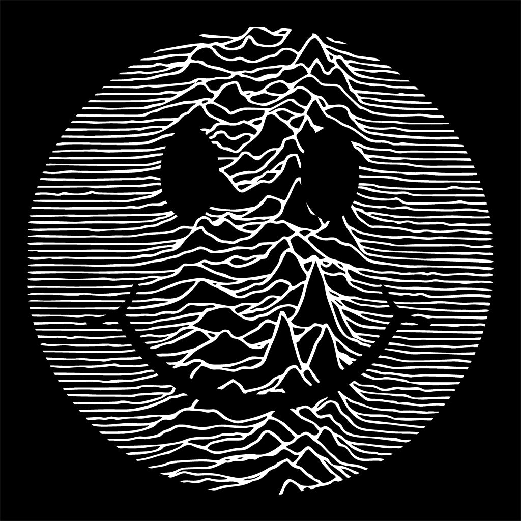 Acid Pulsar Smiler Cruiser Iconic Hoodie-Future Past-Essential Republik