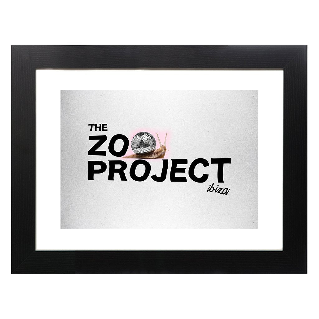Mirrorball Snail A3 Framed Print-The Zoo Project-Essential Republik