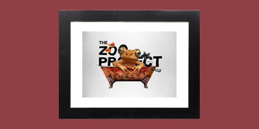 The Zoo Project Homeware on Essential Republik