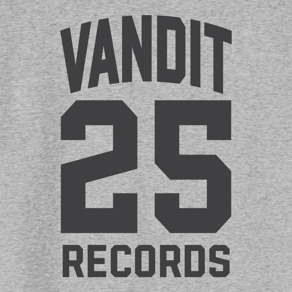 VANDIT Records 25 Years Unisex Cruiser Iconic Hoodie-Paul van Dyk-Essential Republik