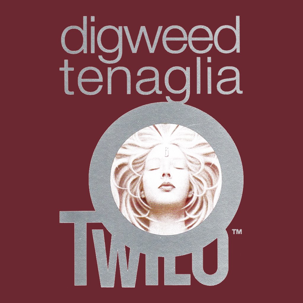 John Digweed And Danny Tenaglia At Twilo Men's Organic T-Shirt-Danny Tenaglia-Essential Republik