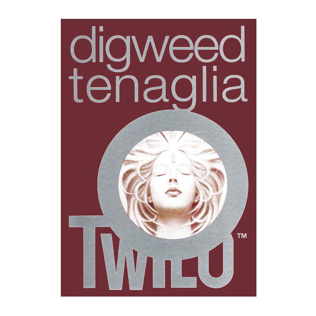 John Digweed And Danny Tenaglia At Twilo A3 Framed Print-Danny Tenaglia-Essential Republik