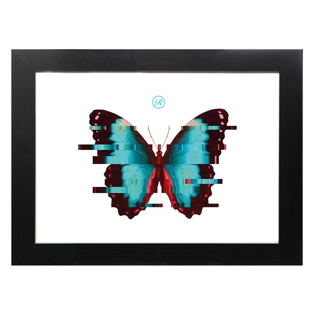 Daytime Butterfly A3 Framed Print-Renaissance-Essential Republik