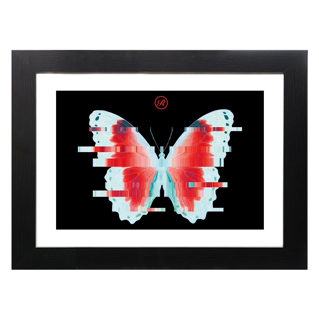 Afters Butterfly A3 Framed Print-Renaissance-Essential Republik