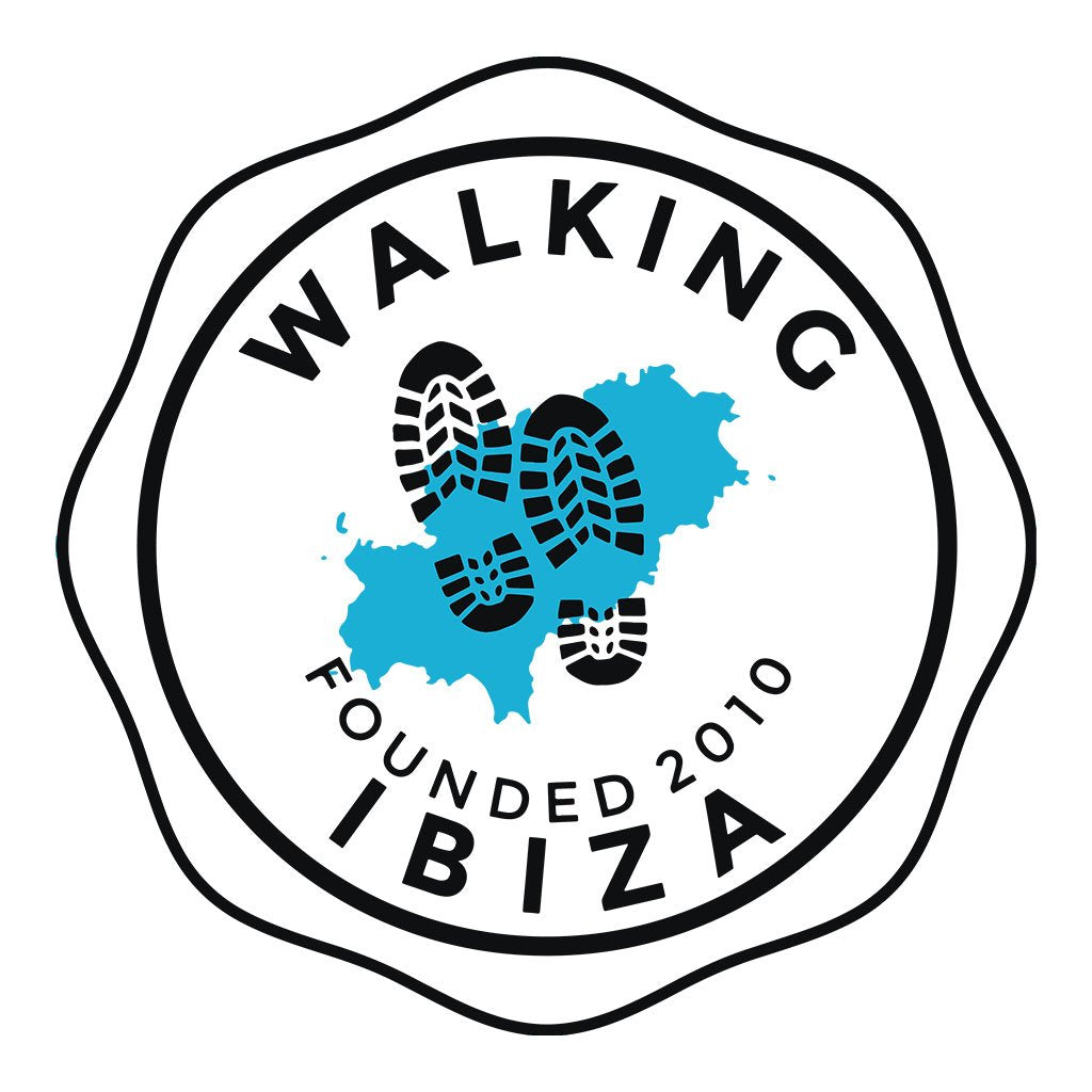 Walking Ibiza 2010 Black Badge Men's Organic T-Shirt-Walking Ibiza-Essential Republik