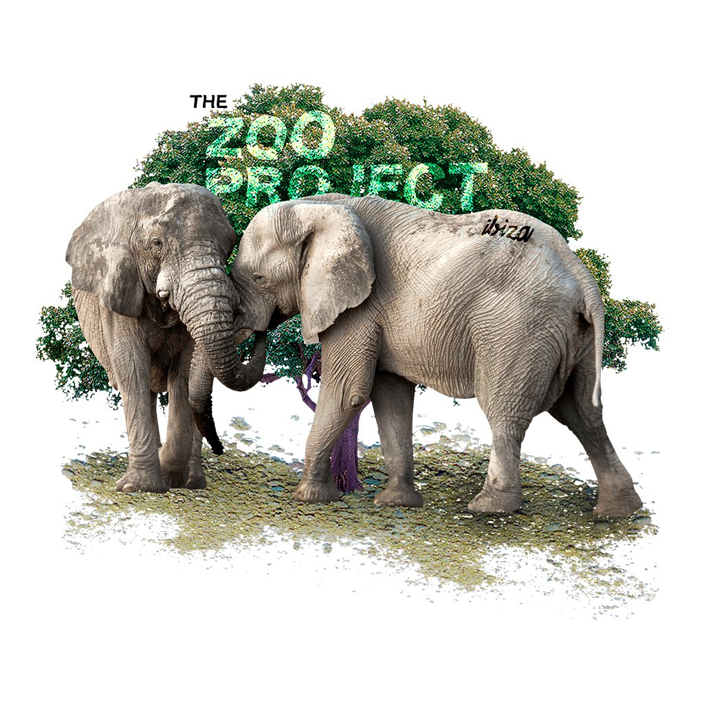 Elephants Black Text Men's V-Neck T-Shirt-The Zoo Project-Essential Republik