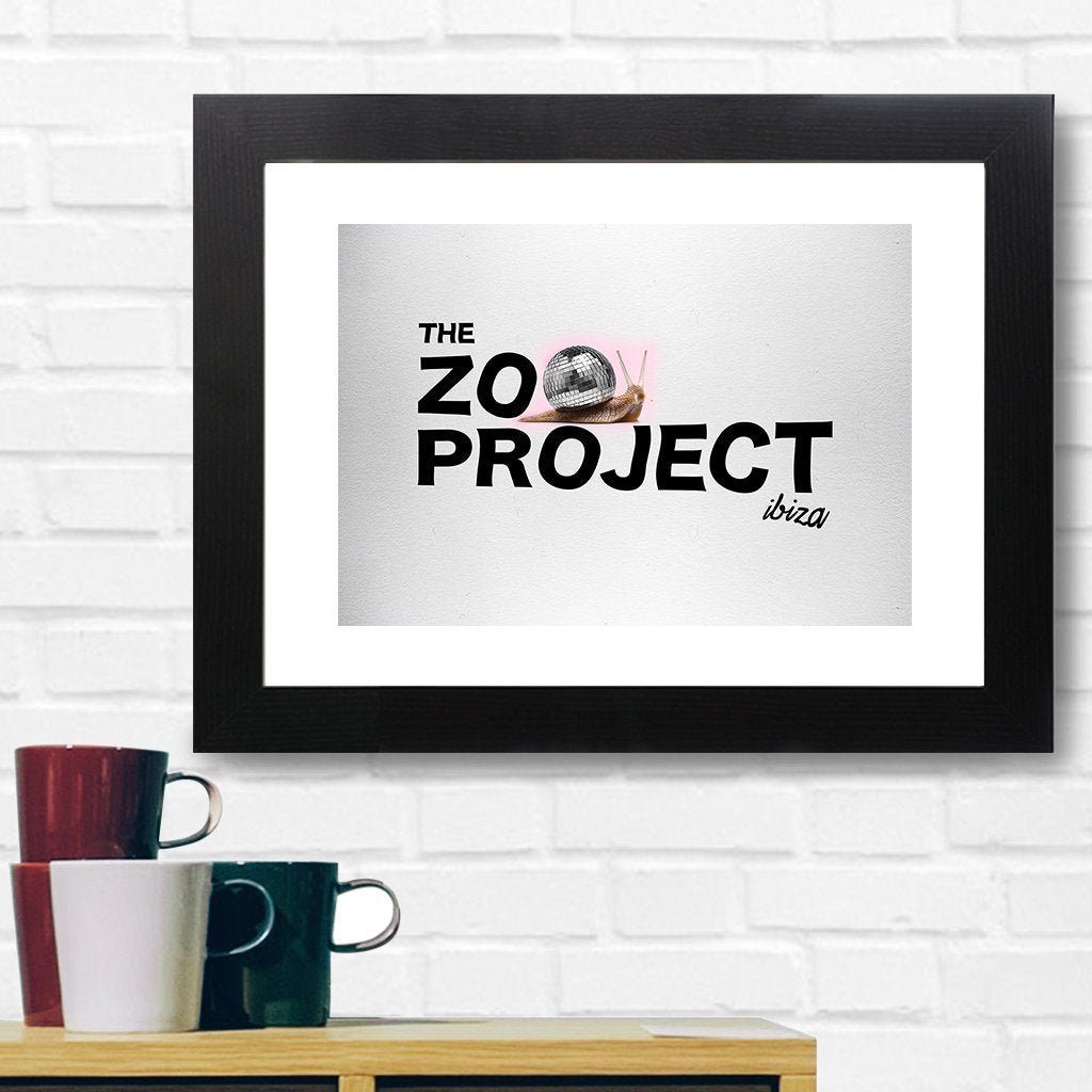 Mirrorball Snail A3 Framed Print-The Zoo Project-Essential Republik