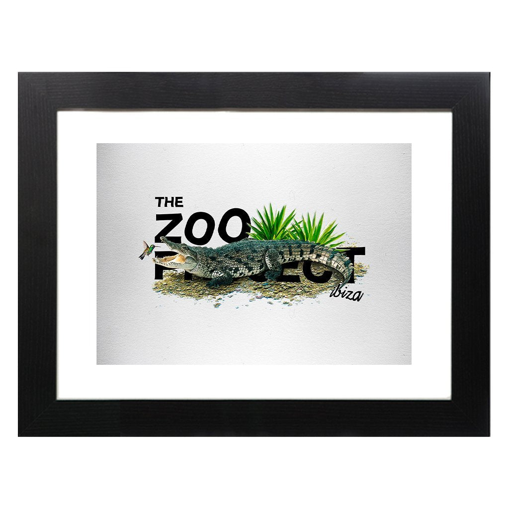Crocodile And Humming Bird A3 Framed Print-The Zoo Project-Essential Republik
