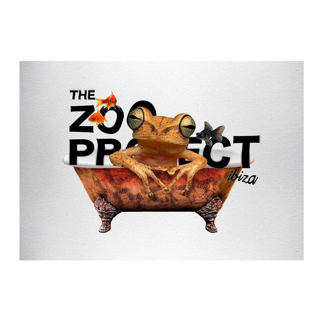 Frog In The Tub A3 Framed Print-The Zoo Project-Essential Republik