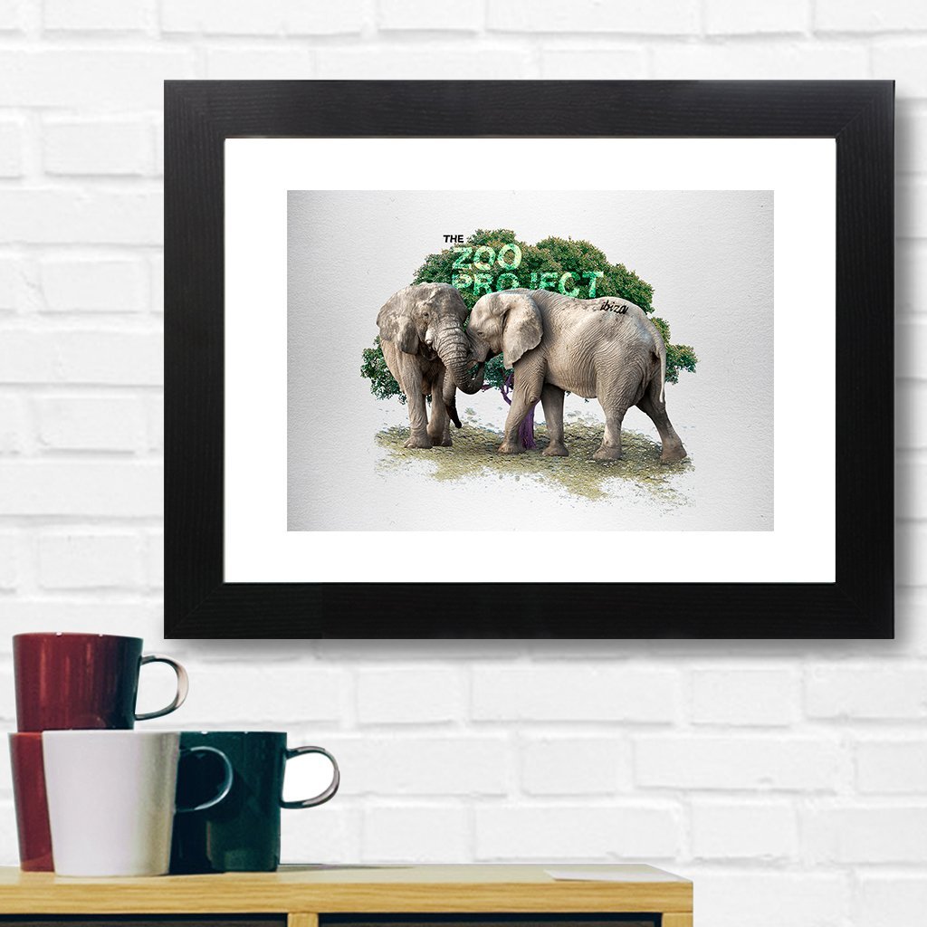 Elephants A3 Framed Print-The Zoo Project-Essential Republik