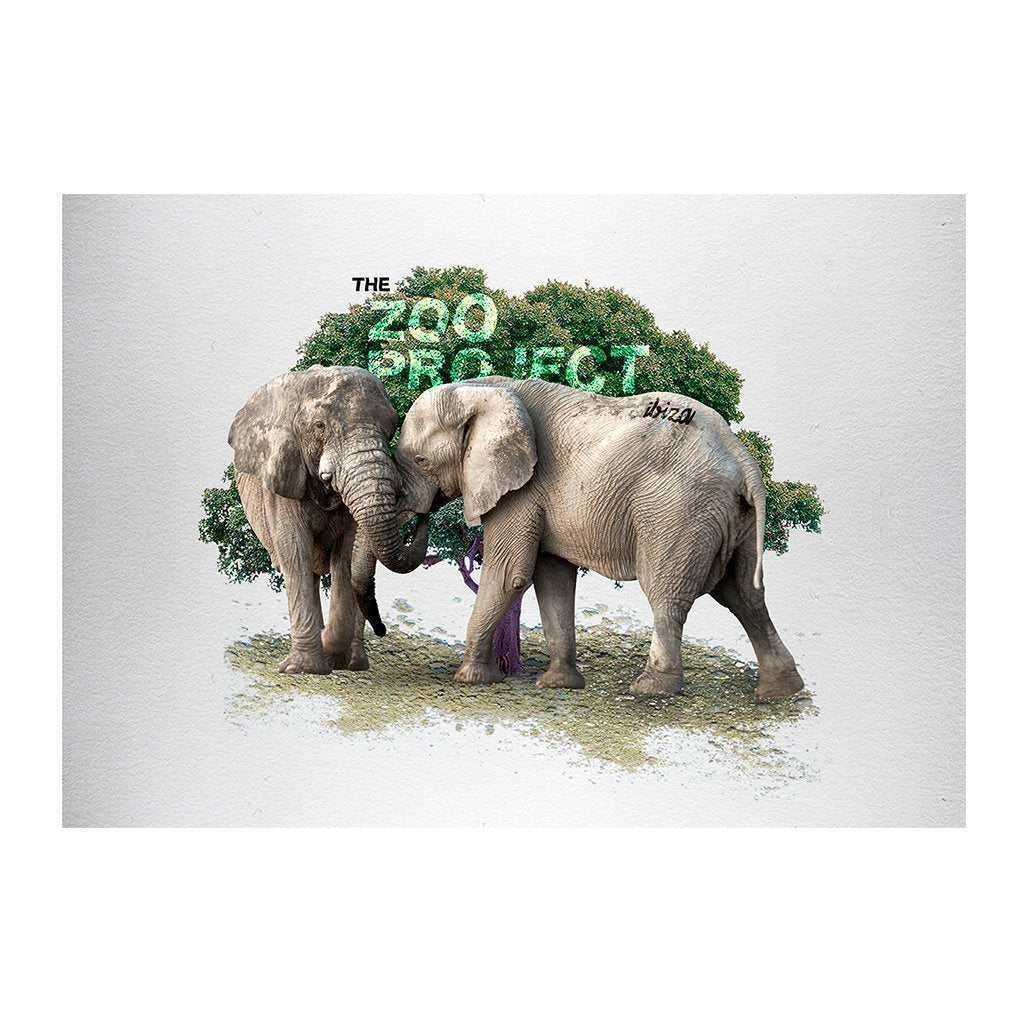 Elephants A3 Framed Print-The Zoo Project-Essential Republik