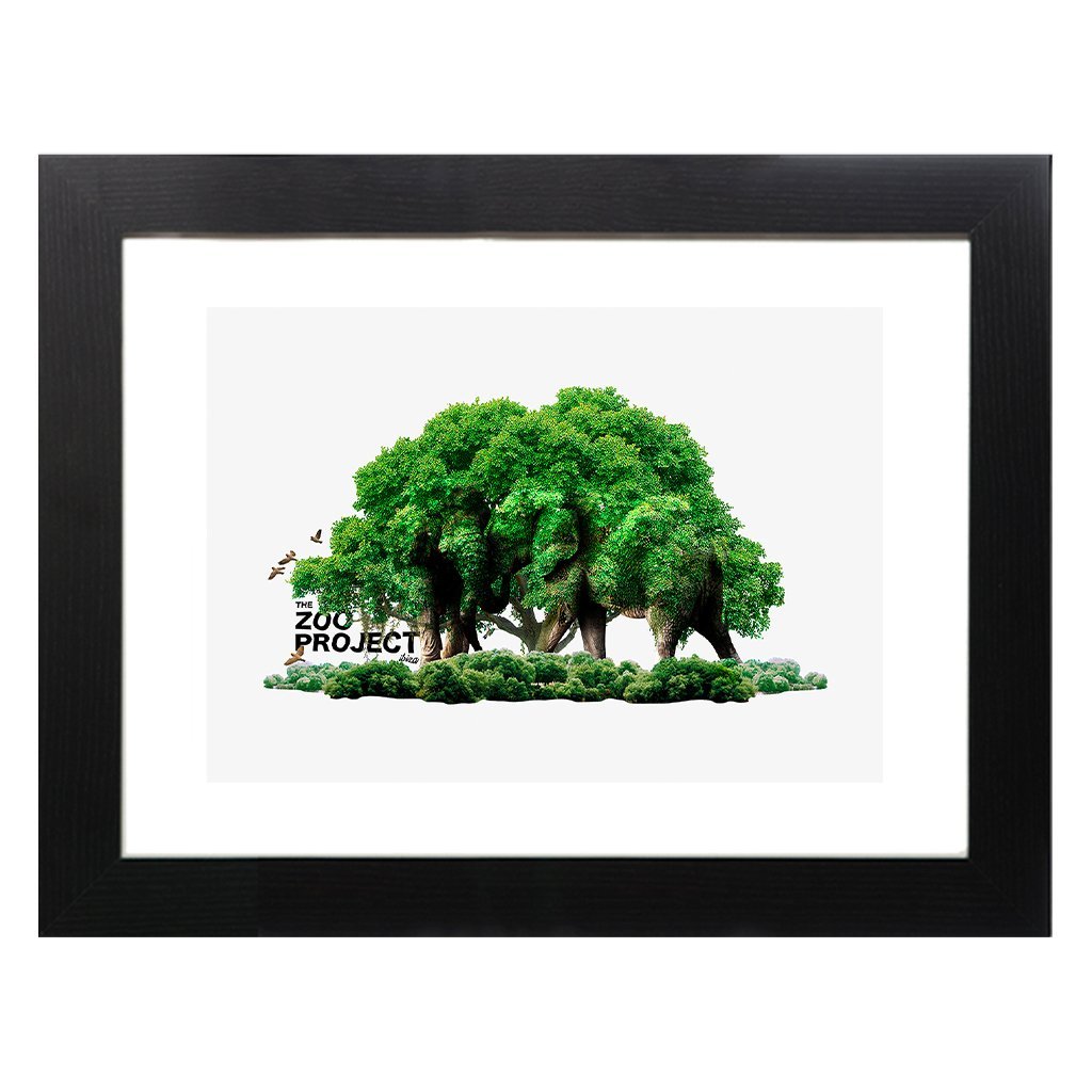 Camouflaged Elephants A3 Framed Print-The Zoo Project-Essential Republik