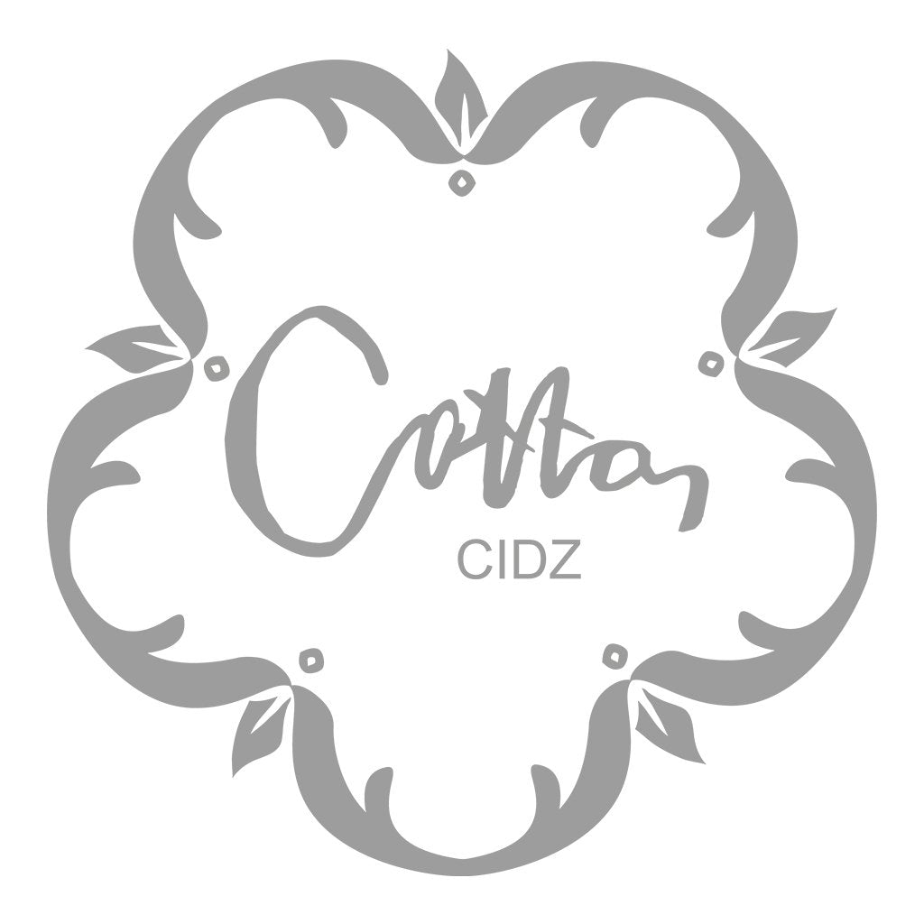 Cotton Cidz Logo Kids Mini Cruiser Iconic Hoodie-Cotton Lifestyle-Essential Republik