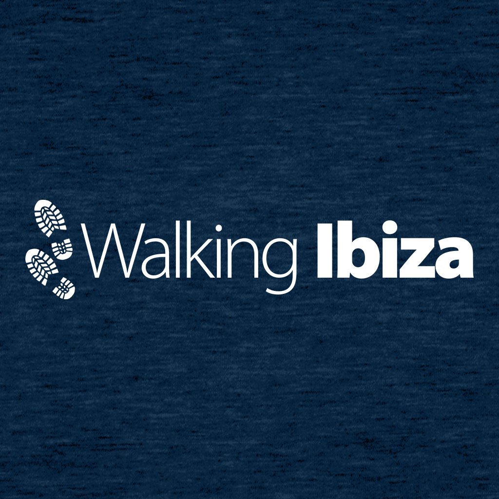 Walking Ibiza Since 2010 White Logo Front And Back Print Men's V-Neck T-Shirt-Walking Ibiza-Essential Republik